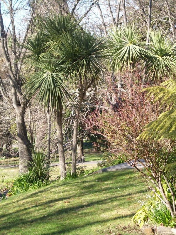 Lucinda B&B image 19